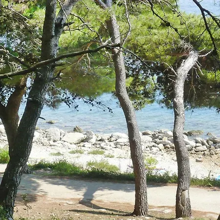 Apartment Holiday Zelena Punta Cin05002 Cya Kukljica